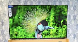 Solarmax Smart Frameless