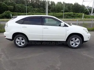 Toyota Harrier 2007 Pearl