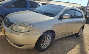 Toyota Allex 2004 Silver