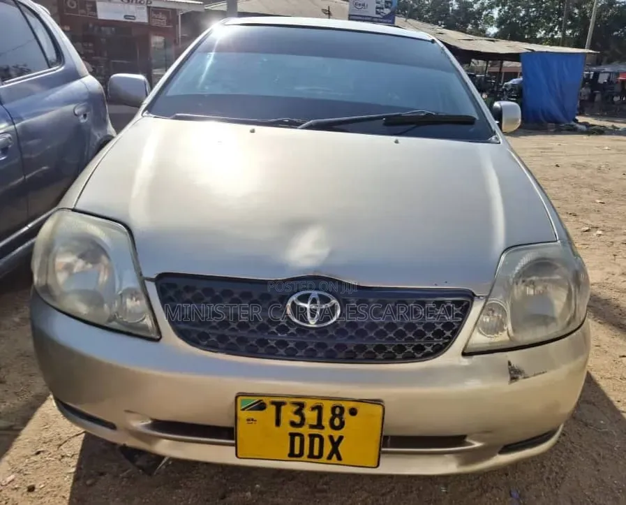 Toyota Allex 2004 Silver