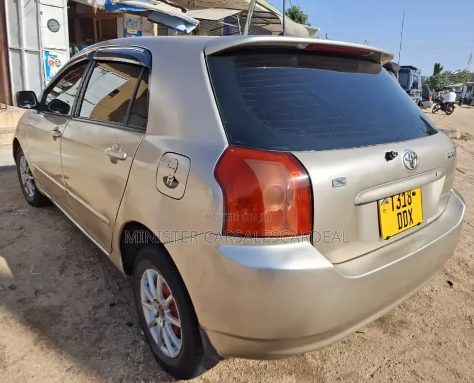 Toyota Allex 2004 Silver