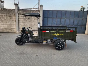 Bajaj Boxer 2022 Green