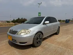 Toyota Corolla RunX 2004 Silver