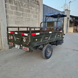 SINORAY SR-E1200 2022 Green