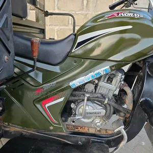 SINORAY SR-E1200 2022 Green