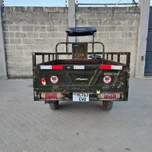 SINORAY SR-E1200 2022 Green