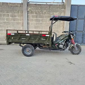 SINORAY SR-E1200 2022 Green