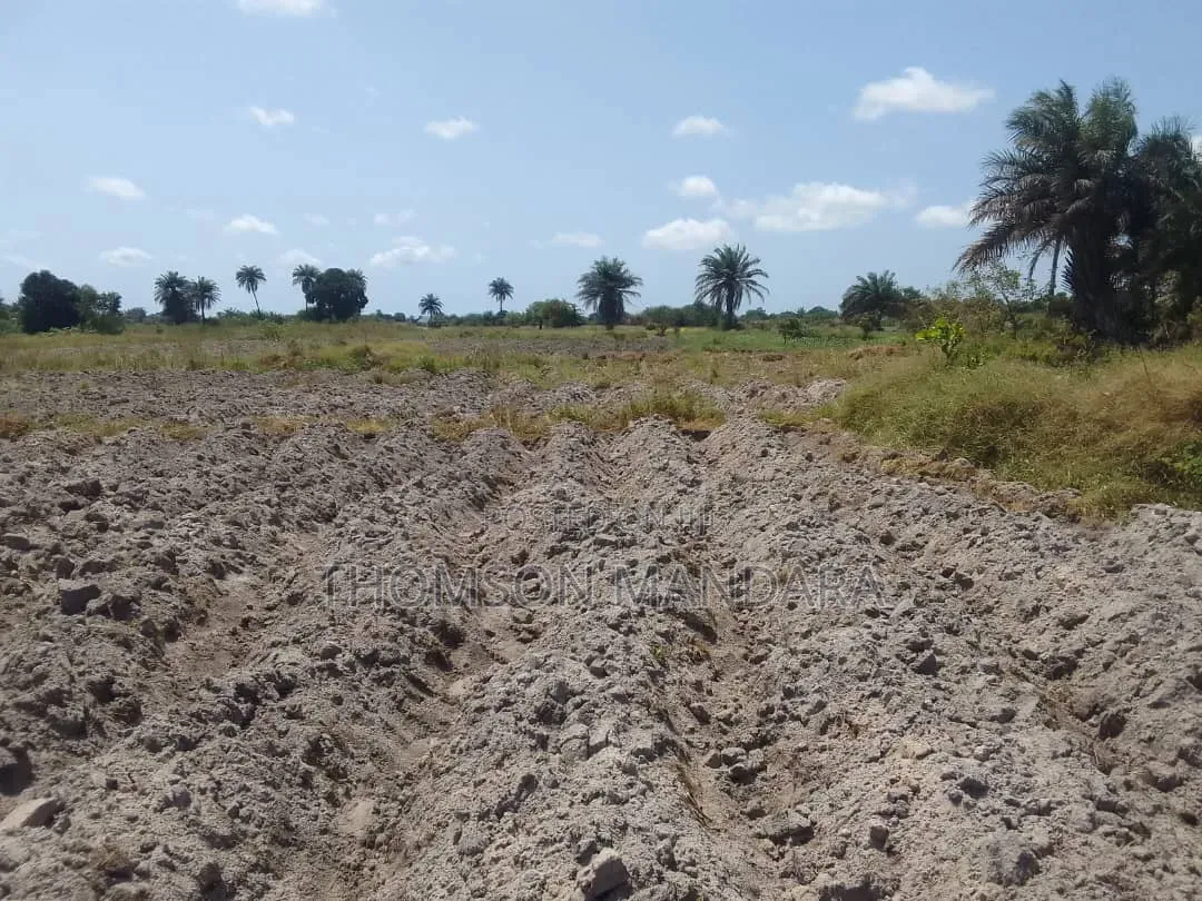 Prime 28-Acre Land for Sale – Kigamboni, Mwasonga