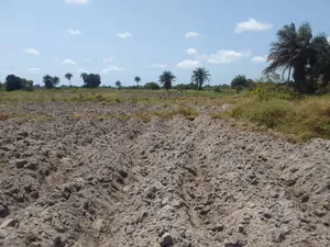 Prime 28-Acre Land for Sale – Kigamboni, Mwasonga