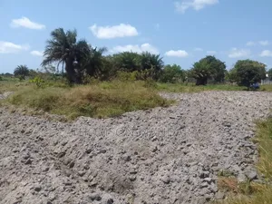 Prime 28-Acre Land for Sale – Kigamboni, Mwasonga