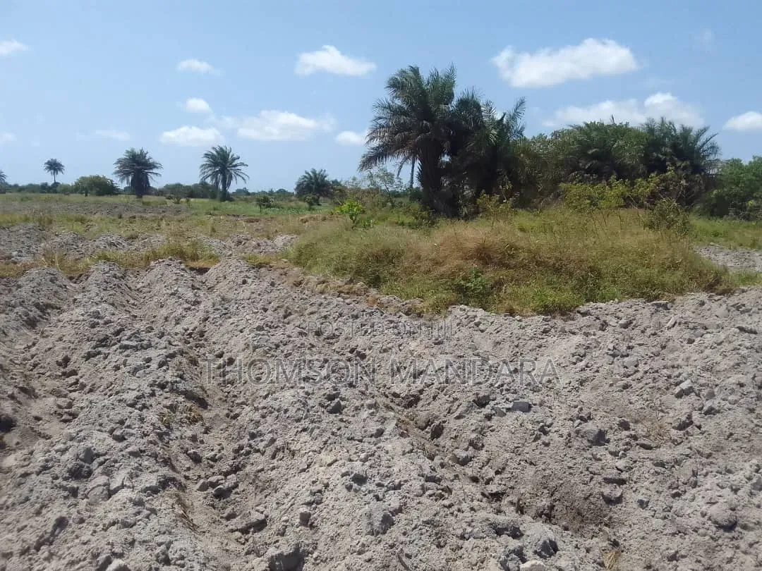 Prime 28-Acre Land for Sale – Kigamboni, Mwasonga