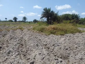 Prime 28-Acre Land for Sale – Kigamboni, Mwasonga