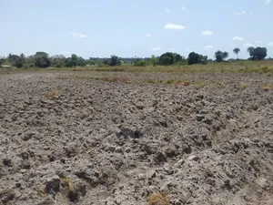 Prime 28-Acre Land for Sale – Kigamboni, Mwasonga
