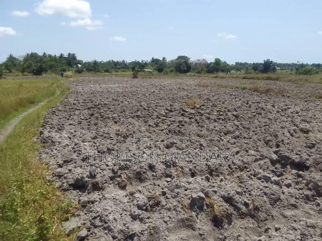 Prime 28-Acre Land for Sale – Kigamboni, Mwasonga