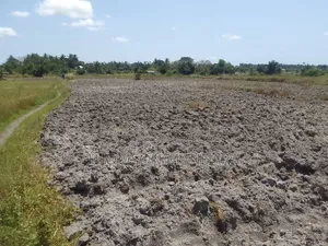 Prime 28-Acre Land for Sale – Kigamboni, Mwasonga