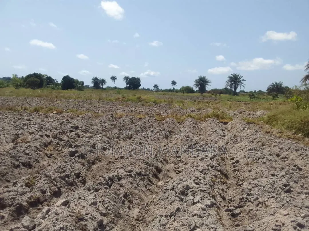 Prime 28-Acre Land for Sale – Kigamboni, Mwasonga