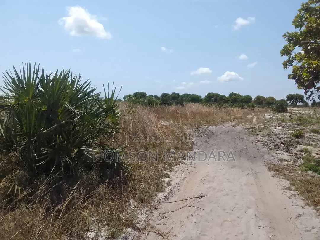 Prime 28-Acre Land for Sale – Kigamboni, Mwasonga
