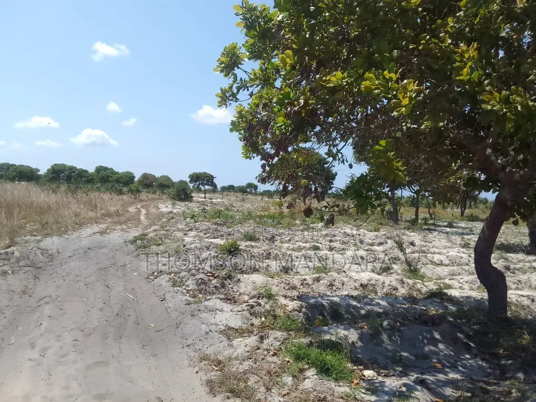 Prime 28-Acre Land for Sale – Kigamboni, Mwasonga