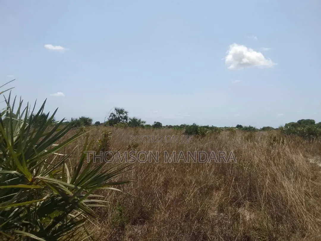 Prime 28-Acre Land for Sale – Kigamboni, Mwasonga