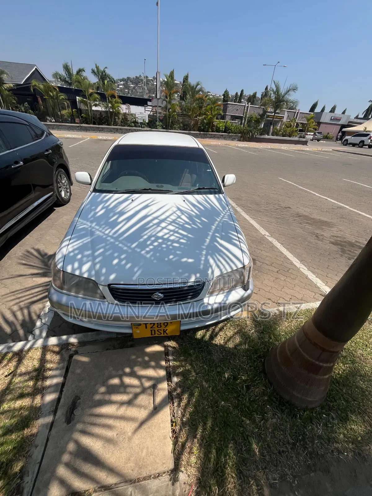 Toyota Corona Premio 1997 Pearl