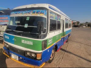 Toyota Coaster 2002 Beige