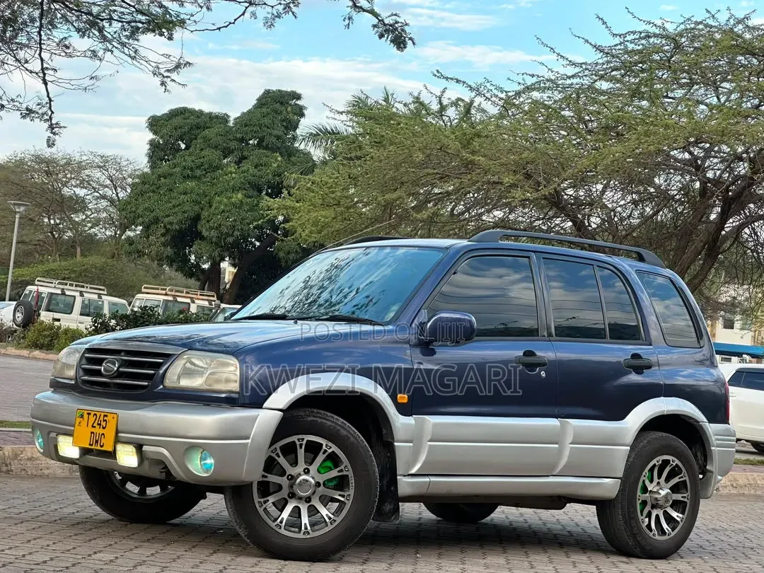 Suzuki Escudo 1995 Blue