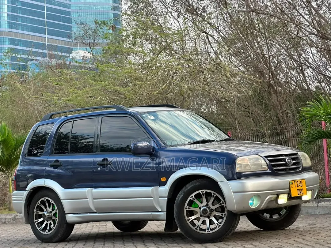 Suzuki Escudo 1995 Blue