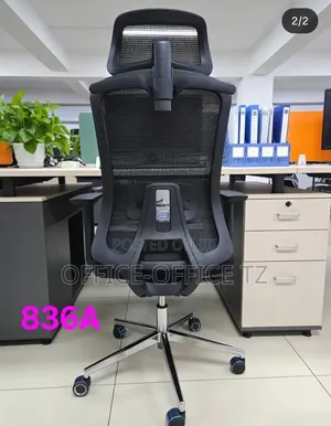 Ergonomic Chair