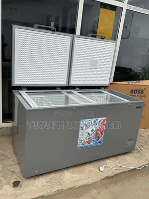 Boss Frizer // 450L // Double Door //