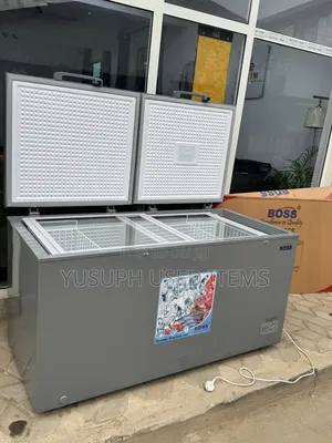 Boss Frizer // 450L // Double Door //