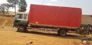 Mitsubishi Fuso 1995 White
