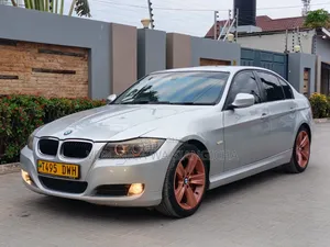 BMW 320i 2010 Silver