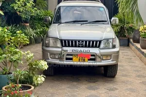 Toyota Land Cruiser Prado 2002 Silver