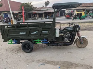 SINORAY SR-E1000 2022 Green