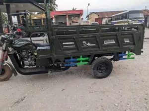 SINORAY SR-E1000 2022 Green