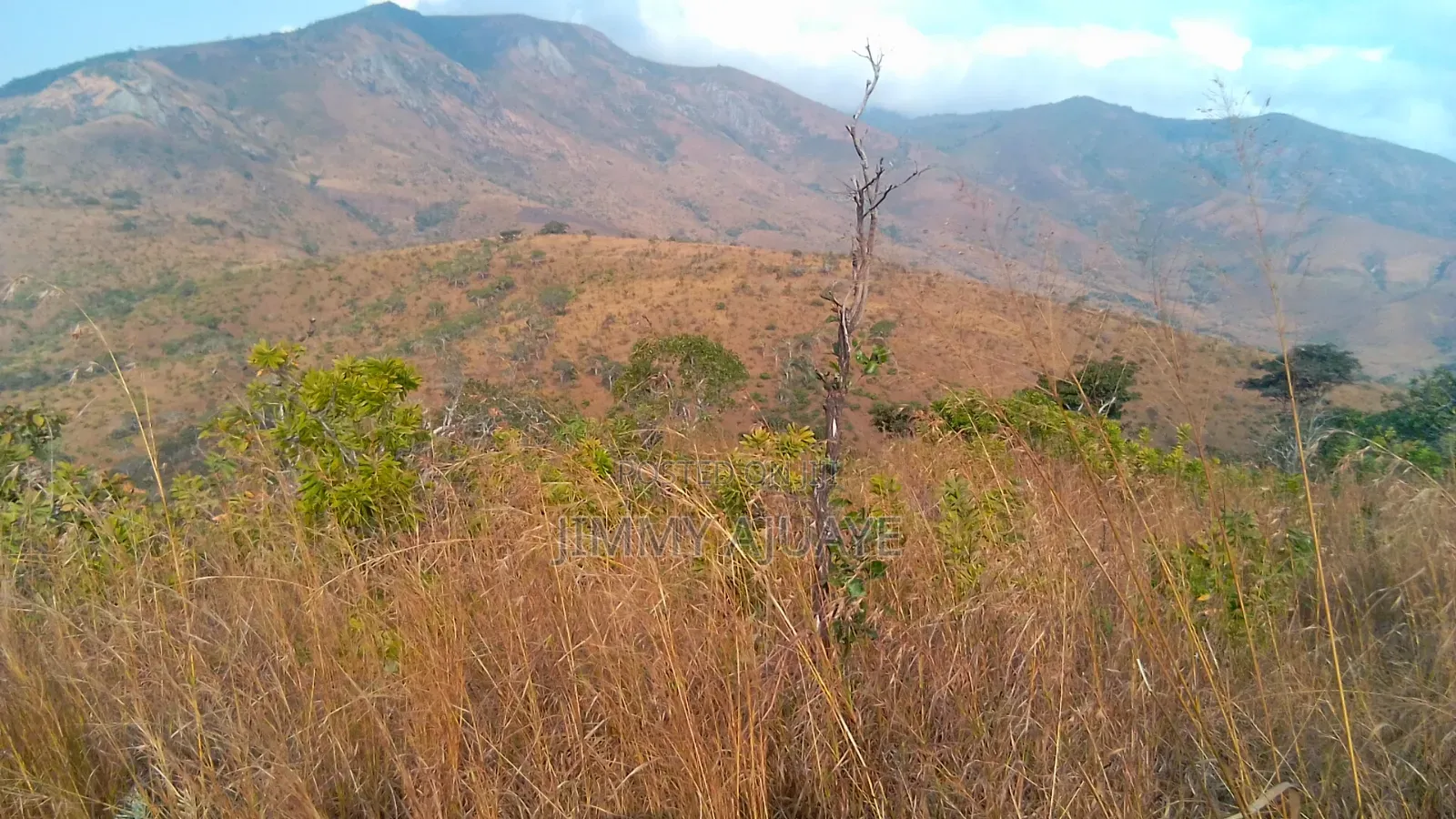 Shamba Linauzwa