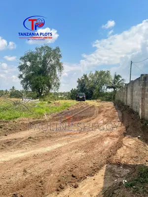Goba(muungano Street)