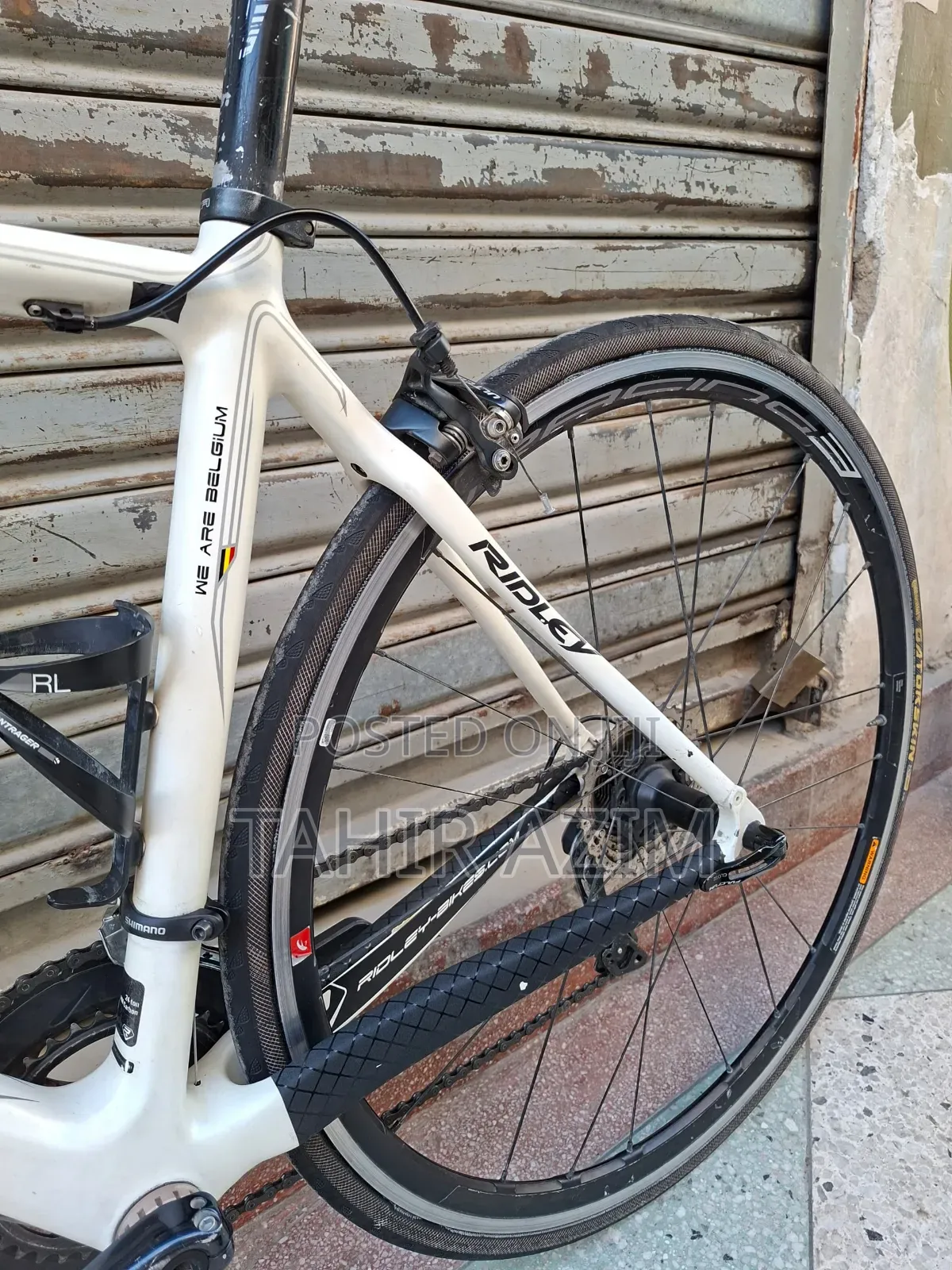 Ridley Orion Road Bike (Ultegra Group Set)