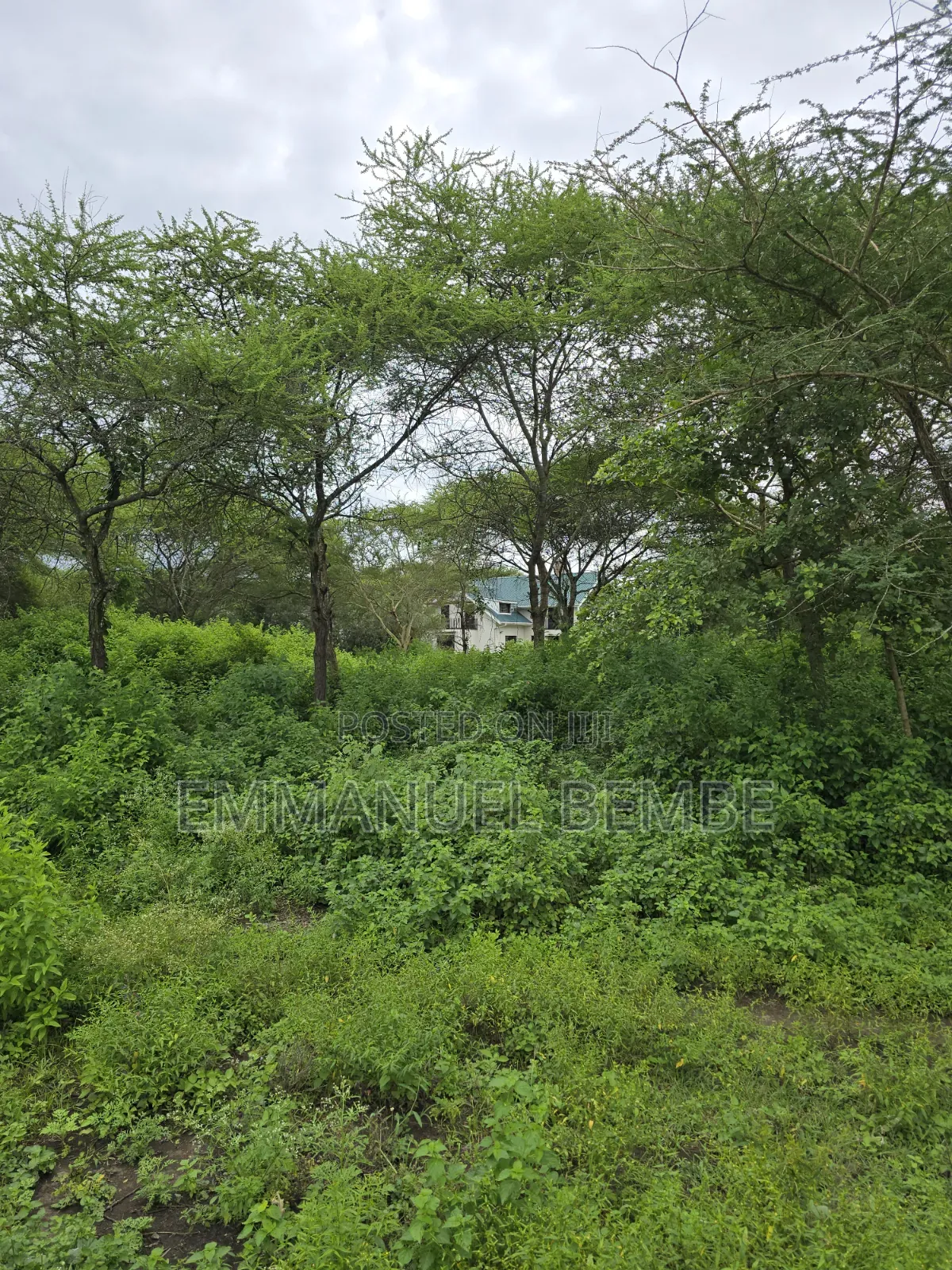 Shamba La Ekari 30 Linauzwa Arusha Usar Rivar Dolly Estate