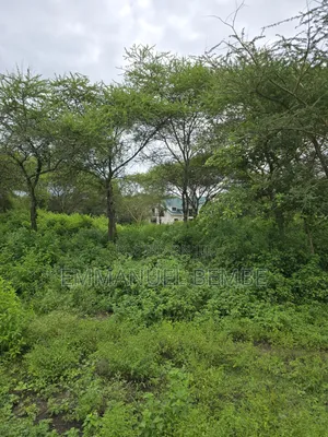 Shamba La Ekari 30 Linauzwa Arusha Usar Rivar Dolly Estate