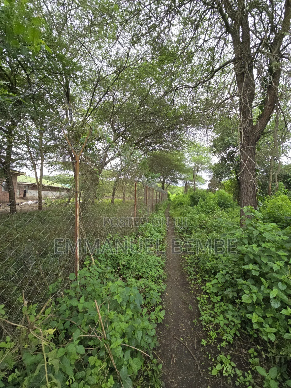 Shamba La Ekari 30 Linauzwa Arusha Usar Rivar Dolly Estate