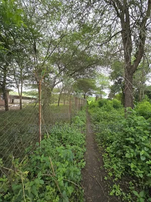 Shamba La Ekari 30 Linauzwa Arusha Usar Rivar Dolly Estate