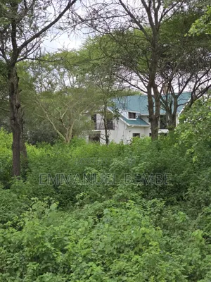 Shamba La Ekari 30 Linauzwa Arusha Usar Rivar Dolly Estate
