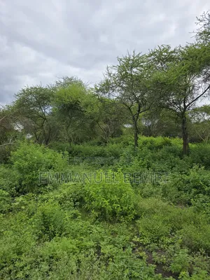Shamba La Ekari 30 Linauzwa Arusha Usar Rivar Dolly Estate