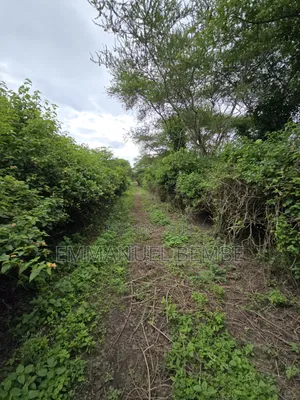 Shamba La Ekari 30 Linauzwa Arusha Usar Rivar Dolly Estate