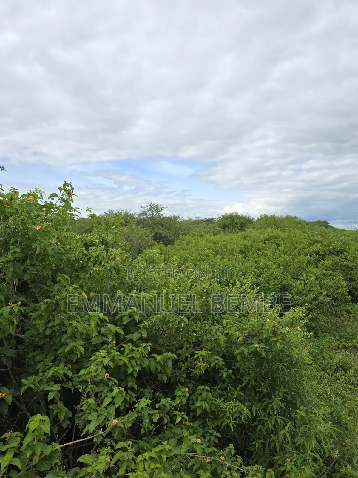 Shamba La Ekari 30 Linauzwa Arusha Usar Rivar Dolly Estate