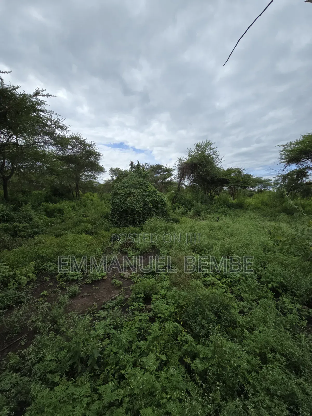 Shamba La Ekari 30 Linauzwa Arusha Usar Rivar Dolly Estate