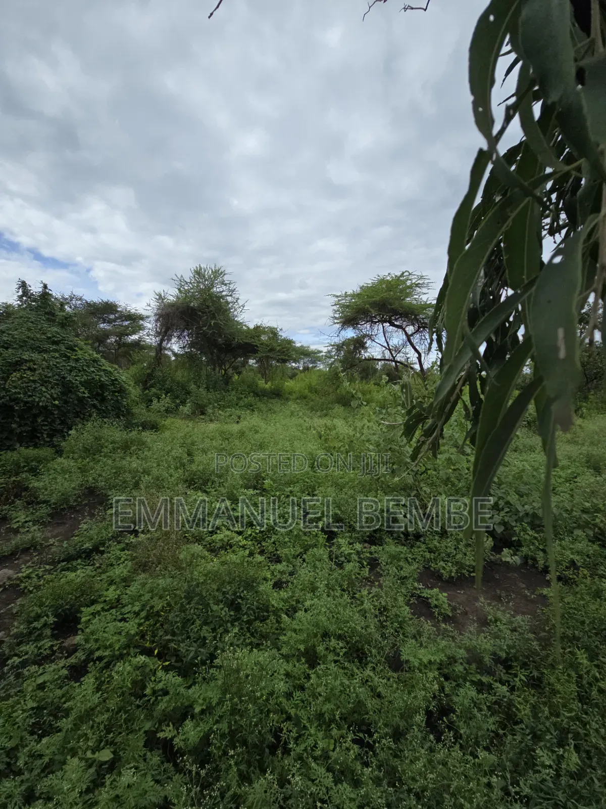 Shamba La Ekari 30 Linauzwa Arusha Usar Rivar Dolly Estate