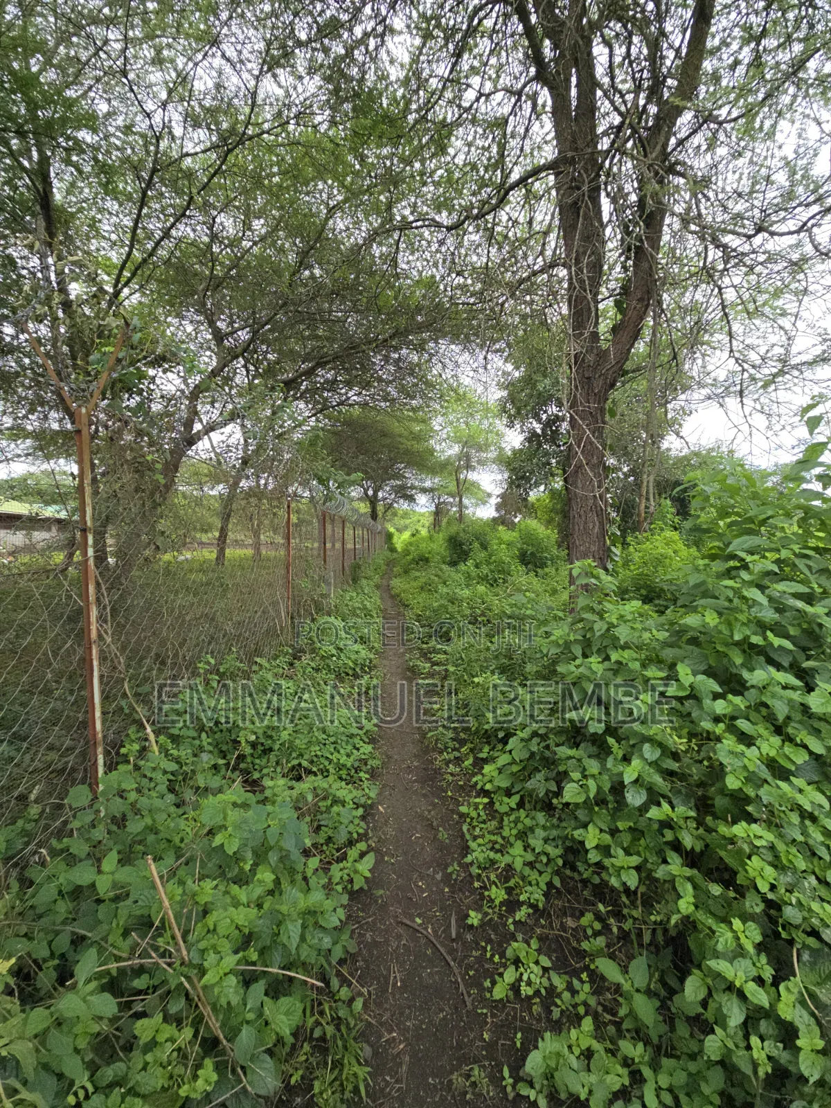 Shamba La Ekari 30 Linauzwa Arusha Usar Rivar Dolly Estate