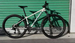 Specialized 29 Rock Hopper